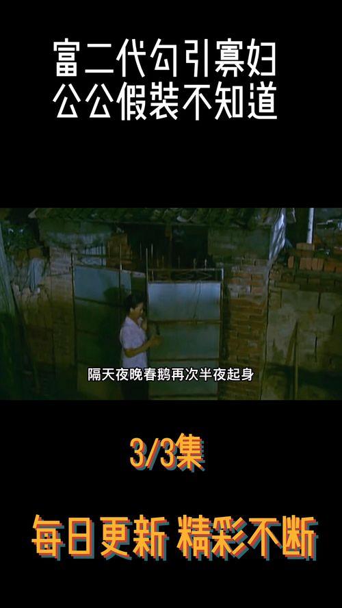 国产剧情高清视频在线,揭秘热门视频背后的精彩故事