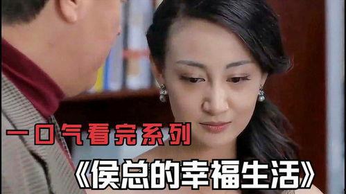 国产电视剧解说 大全在线观看,在线观看指南