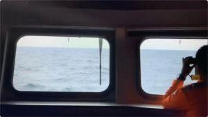 国产分类在线无码专区