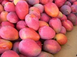 国产在线对白国语高潮,高潮迭起的国语魅力