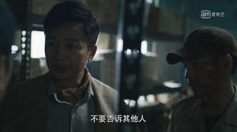 国产破案电影在线观看,在线观看，揭秘悬疑世界