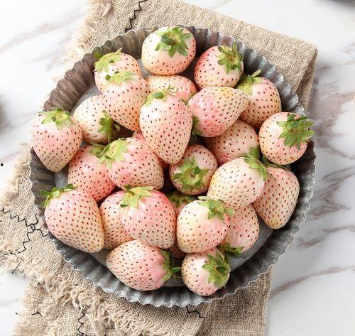 国产水莓100在线高清pe,高清PE技术引领莓果产业新篇章